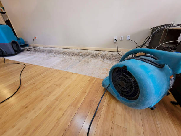 Professional Flood Damage Cleanup technician working in Millstone Township, NJ